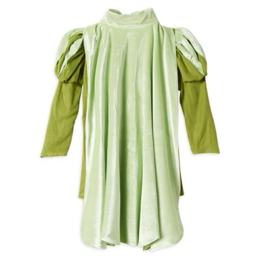 Disney Nouvelle Génération Déguisement Prince Naveen Pour Enfants, La Princesse Et La Grenouille – Image 2