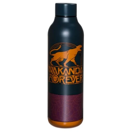 Disney Nouvelle Génération Gourde Black Panther: World Of Wakanda En Acier Inoxydable – Image 4