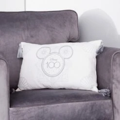 Vente Chaleur Disneyland Resort Coussin Disney100 Celebration -Costumes Magie 465043583154 2