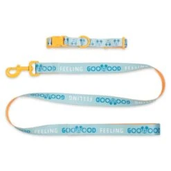 Disney Nouveaux Produits Collier Et Laisse Pour Chien Mickey -Costumes Magie 6504051700028M 2
