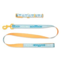 Disney Nouveaux Produits Collier Et Laisse Pour Chien Mickey