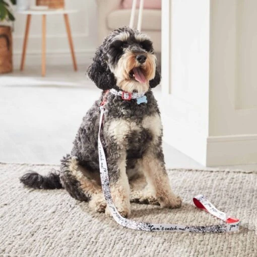 Disney Magasin En Ligne Laisse Pour Chien Les 101 Dalmatiens – Image 3